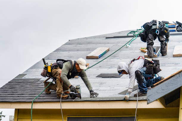 Professional Storm Damage Roof Repair technician working in Glenwood, IA